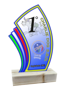 trofei , medaglie , coppe , premiazioni , riconoscimenti