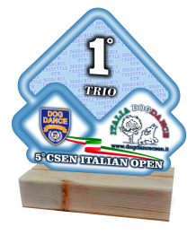 coppe , trofei , personalizzazione medaglie , stampa UV , stampa plexiglass